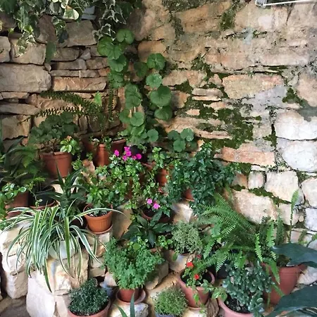 Lavender Appartamento *